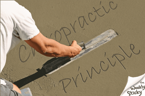 chiropractic principle foundation